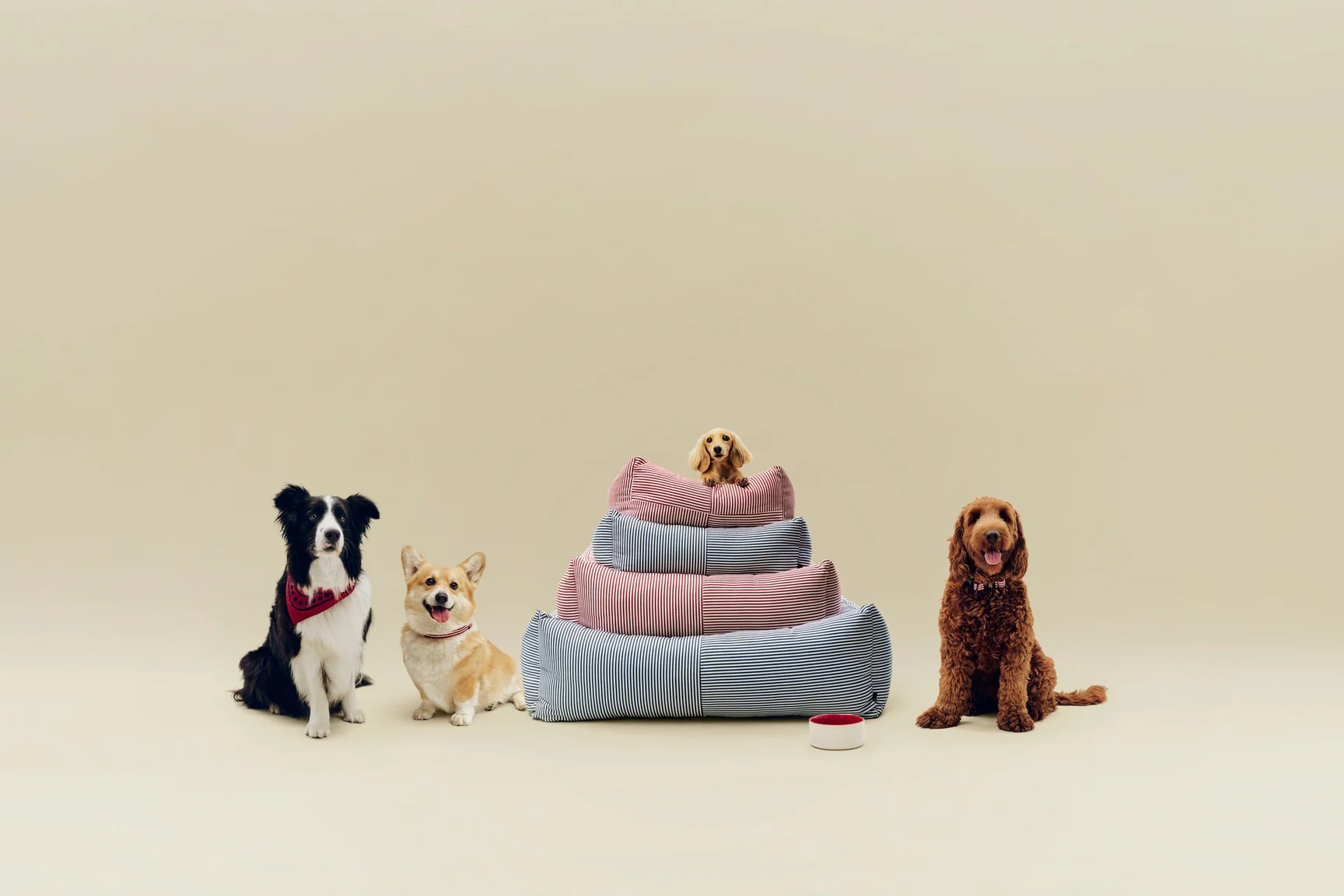 Curated Design for Inspired Living